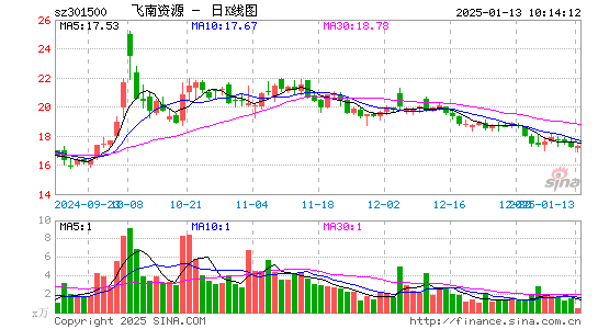 飞南资源