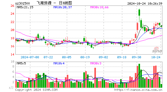 飞南资源