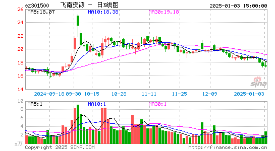 飞南资源