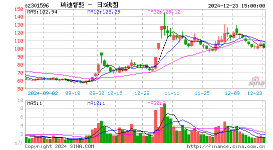 瑞迪智驱