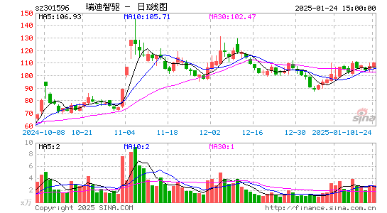 瑞迪智驱