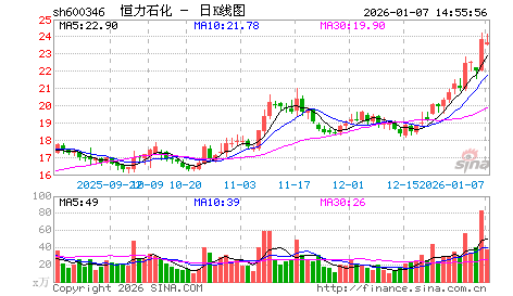聊聊恒力石化（四）成长性分析