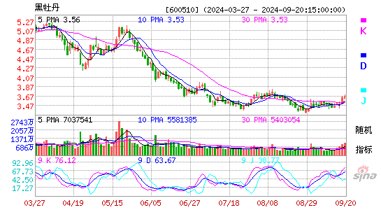 600510黑牡丹KDJ