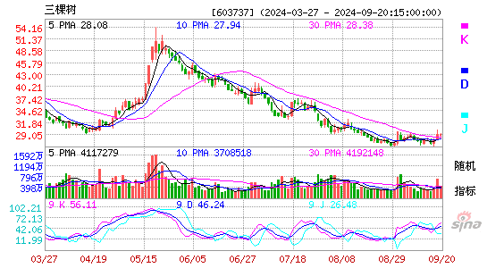 603737三棵树KDJ