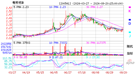 200541粤照明BKDJ