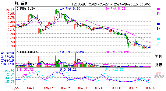 200869张裕BKDJ