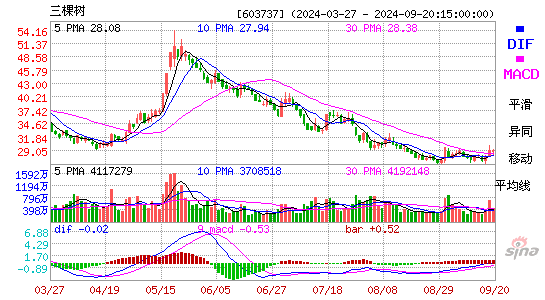 603737三棵树MACD