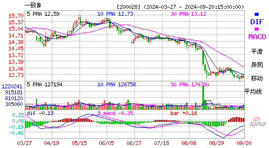 200028一致BMACD