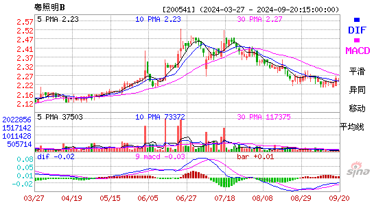 200541粤照明BMACD