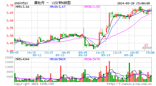 600510黑牡丹十五分K线