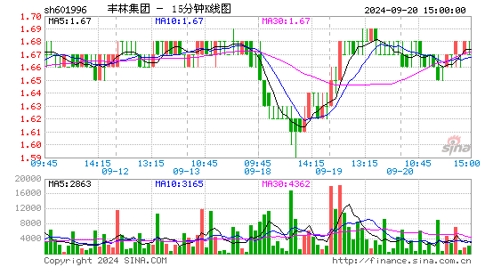 601996丰林集团十五分K线