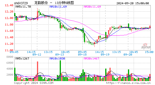603729龙韵股份十五分K线