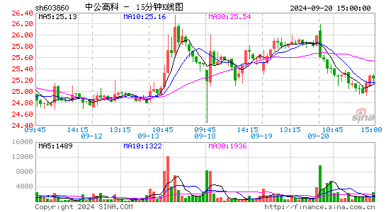 603860中公高科十五分K线