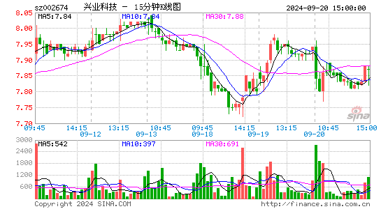 002674兴业科技十五分K线