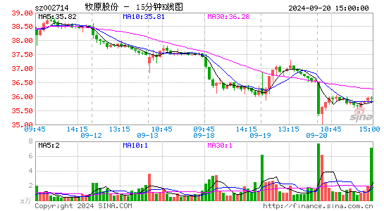 002714牧原股份十五分K线