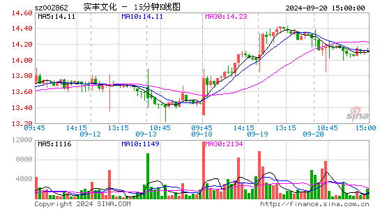002862实丰文化十五分K线