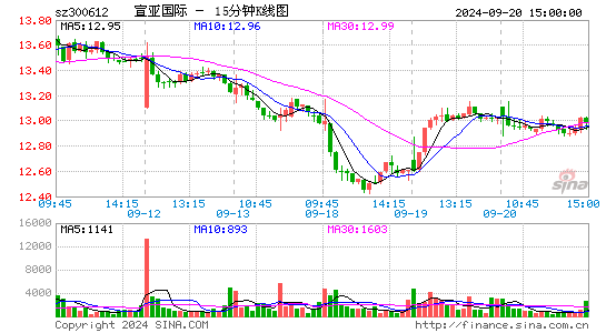 300612宣亚国际十五分K线