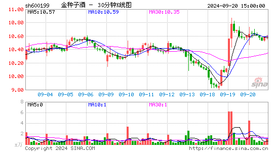 600199金种子酒三十分钟K线