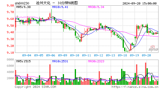 600230沧州大化三十分钟K线