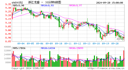 600352浙江龙盛三十分钟K线