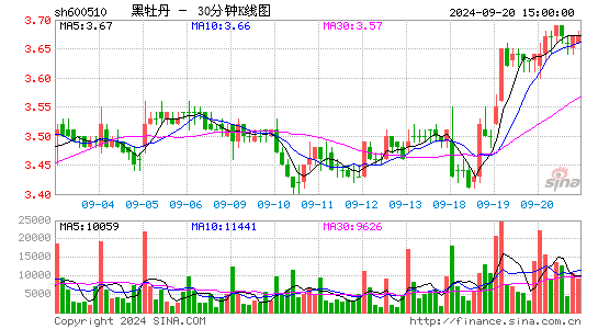 600510黑牡丹三十分钟K线