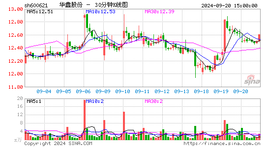 600621华鑫股份三十分钟K线