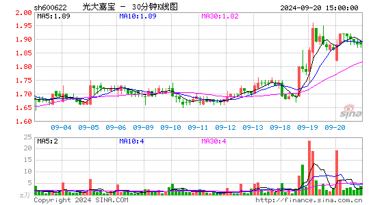 600622光大嘉宝三十分钟K线