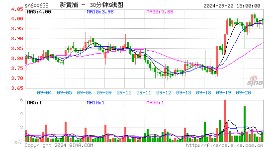 600638新黄浦三十分钟K线