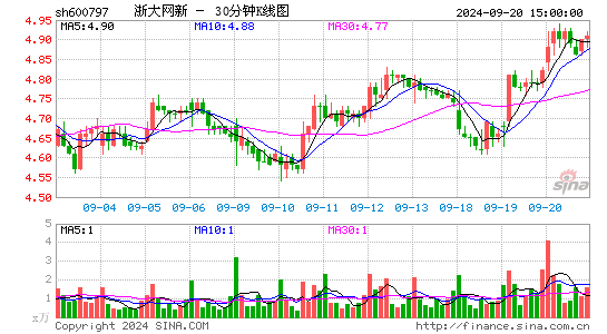 600797浙大网新三十分钟K线
