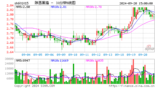 601015陕西黑猫三十分钟K线