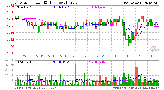 601996丰林集团三十分钟K线