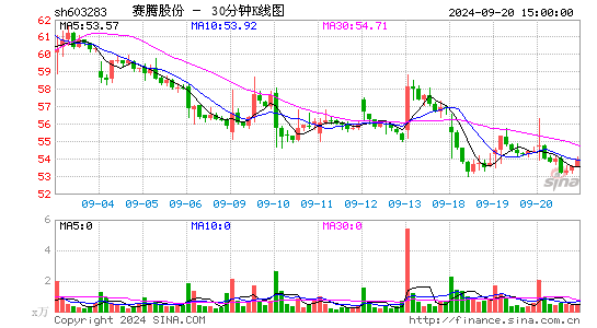 603283赛腾股份三十分钟K线