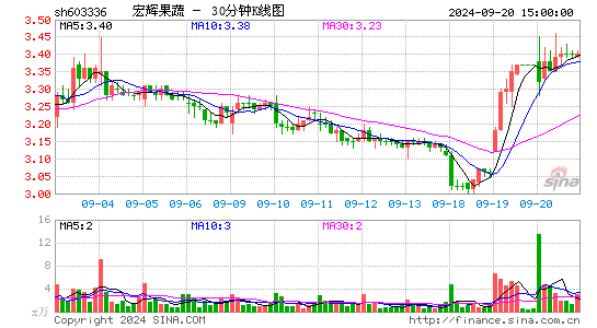 603336宏辉果蔬三十分钟K线
