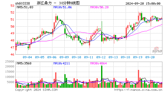 603338浙江鼎力三十分钟K线