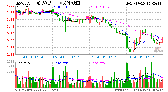 603655朗博科技三十分钟K线