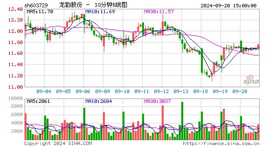 603729龙韵股份三十分钟K线