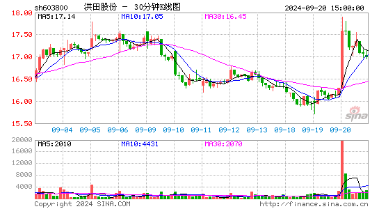 603800道森股份三十分钟K线