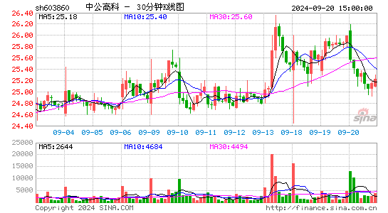 603860中公高科三十分钟K线