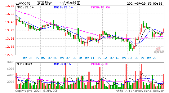 000048京基智农三十分钟K线