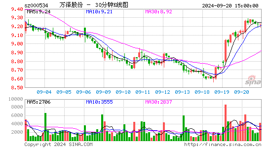 000534万泽股份三十分钟K线