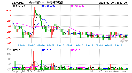000981山子股份三十分钟K线