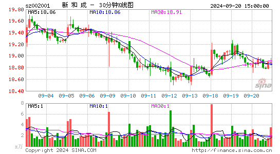 002001新和成三十分钟K线