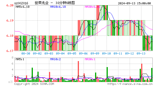 002016世荣兆业三十分钟K线