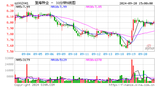 002041登海种业三十分钟K线