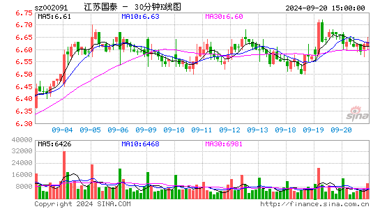002091江苏国泰三十分钟K线