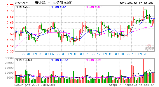 002376新北洋三十分钟K线