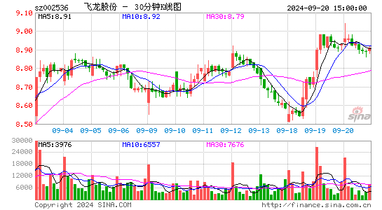 002536飞龙股份三十分钟K线