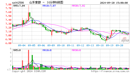 002598山东章鼓三十分钟K线