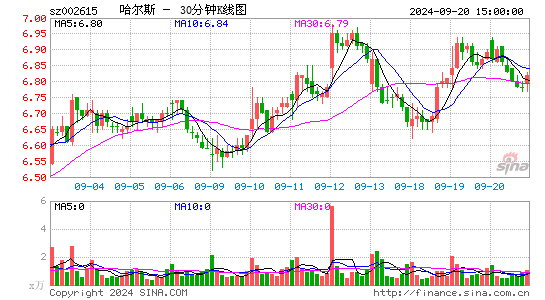 002615哈尔斯三十分钟K线