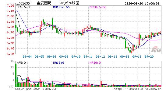 002636金安国纪三十分钟K线